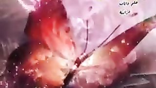 الشيخ حسن صالح