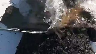 Rescuing a Muddy Plush: A Soothing Transformation
