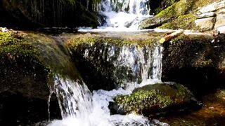 beautiful nature