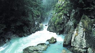 beautiful nature
