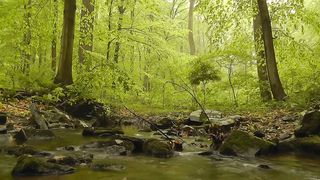 beautiful nature