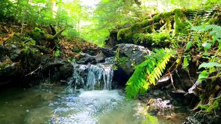 beautiful nature