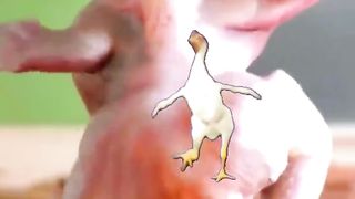 It's a great sight to see a little chick dancing around