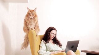 Cute cat