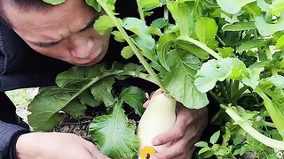 Funny video very funny