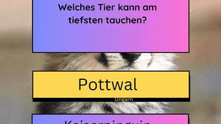 Welches Tier kann am tiefsten tauchen