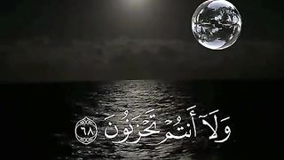 القران_الكريم