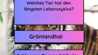 Längsten Lebenszyklus