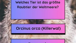 Größte Raubtier