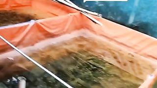 Sumber air dari manapun bisa kalian gunakan untuk budidaya ikan lele, sabar jalani prosesnya