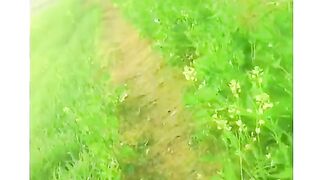 greenery land