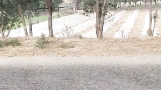 Mubeenshah786|veri nice and beautiful video|best short video|viral