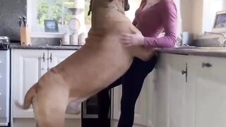 Big dog||funny videos|beautiful pets????????????