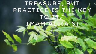 Sayings Of Imam Ali (a.s)