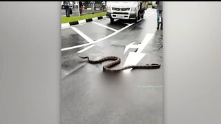 amazing road moments