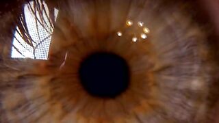 4K Videos Everyday Objects in Macro