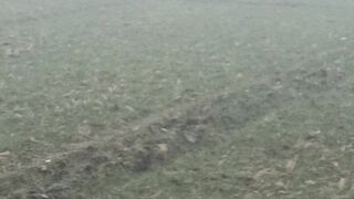 Rain ????️