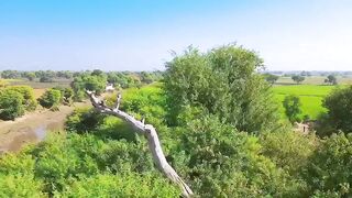 Natural seen in pakistan