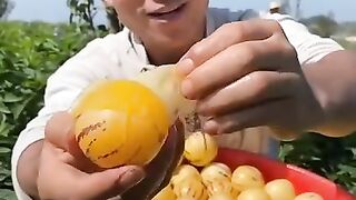 Food cutting