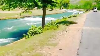nature is beautiful