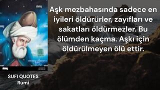 SUFI QUOTES Rumi | Speech Turkish | quotes in love