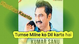 Tumse Milne ko Dil karta hai