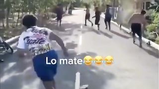 Snake funny video