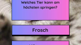 höchsten Springen kann