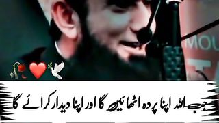 مولانا طارق جمیل