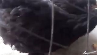 Under the net