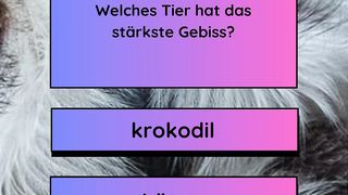 Stärkste Gebiss