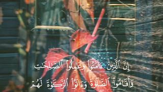 القرأن الكريم
