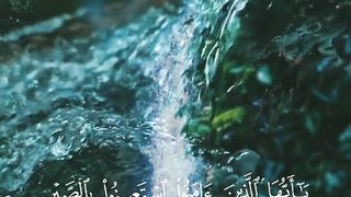 القرأن الكريم