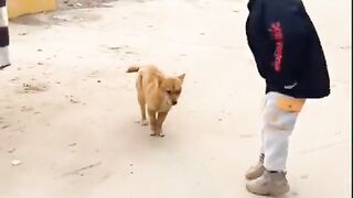 entertainment