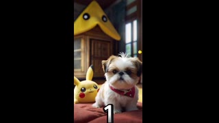Oliver Dressed as Pikachu: Luxurious Transformation for Pokemon Fans | Pet Outfit