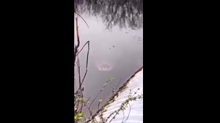 For 5 Million dollars, would you jump into this water?