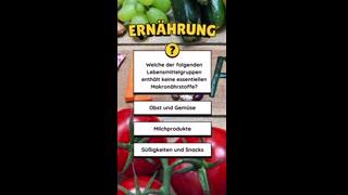 Ernährung Zeit