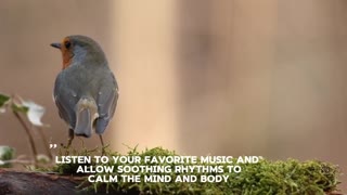 Blissful Escape: Transform Stress into Serenity with These Relaxation Techniques