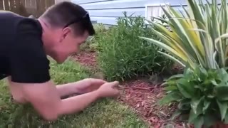 Guy coaxing a litter of curious baby bunnies out of his garden