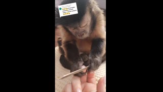 Tiktok #tiktok #instagram #YouTube
