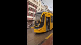 جمال اسكندريه