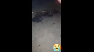 غربت سے تںگ آکر میاں بیوی ںے بچوں سمیت خودود کو آگ لگا لی