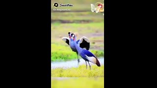 اللّٰہ کی قدرت