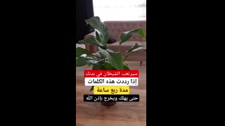 كرر هذه الكلمات لكي يرتعب كل شيطان في بدنك