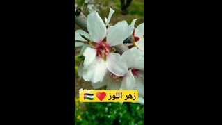 مقتطفات حول العالم
