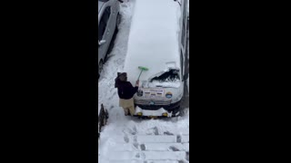 Snowfall