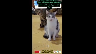 "تحدٍ مستحيل: لا تبتسم أبدًا بعد مشاهدة هذا!""Impossible challenge: Never smile after watching this!"
