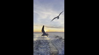 "Beneath the Surface: Exploring the Natural World Underwater"