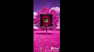 القران_الكريم