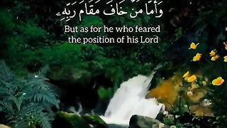 القران_الكريم